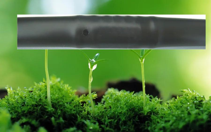 Care for cultivated land